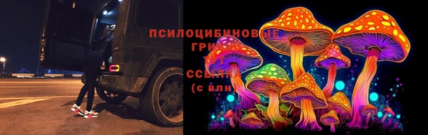 каннабис Баксан
