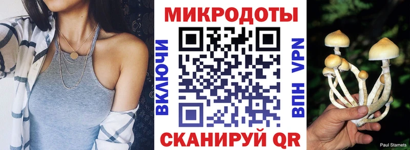 Галлюциногенные грибы прущие грибы  дарнет шоп  Олонец 