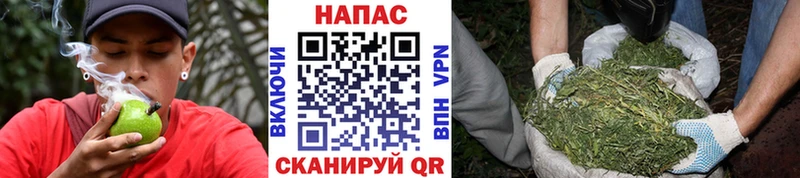 Канабис индика магазин наркотиков Олонец